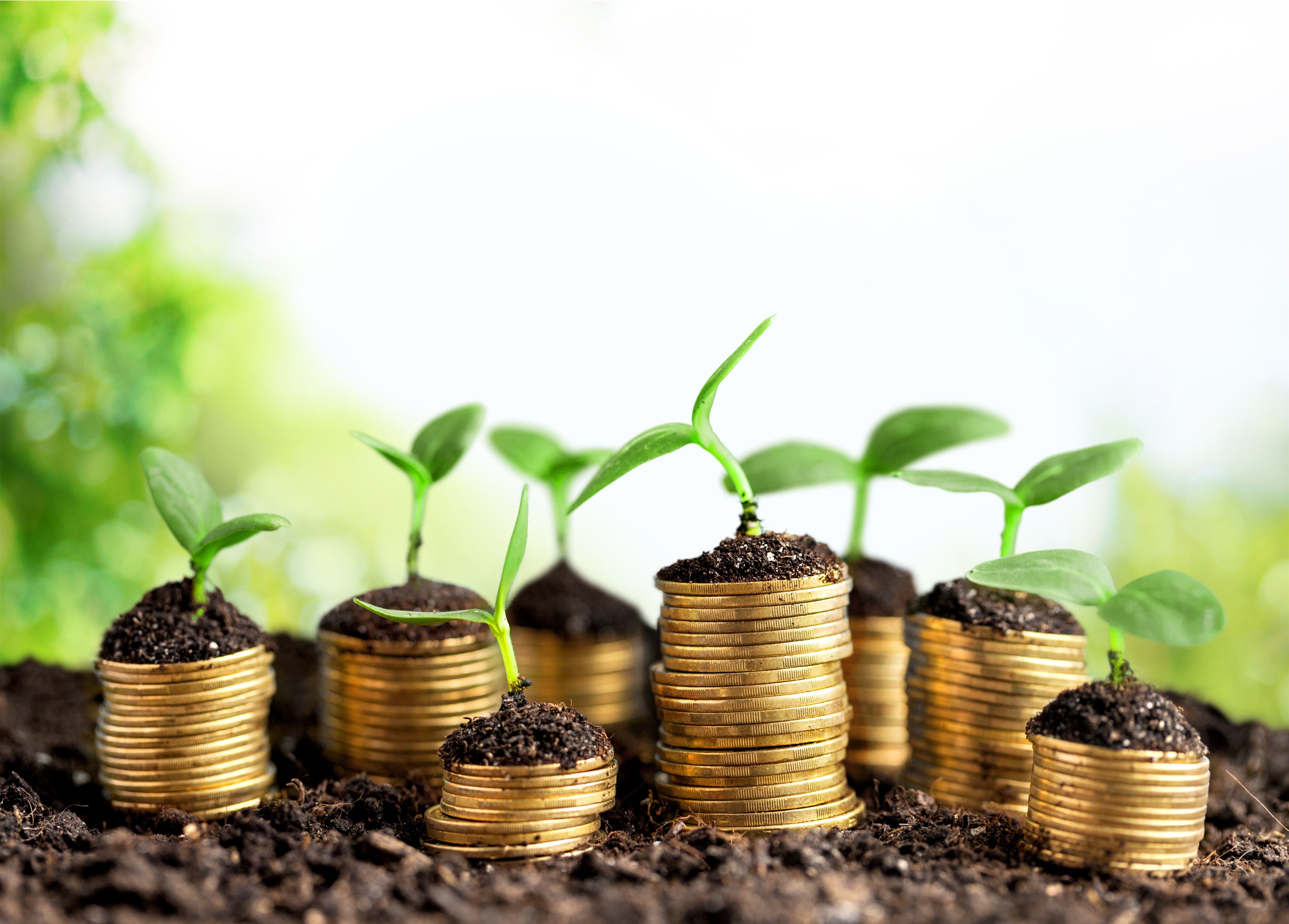Financial Statement Attestation | Assurance Services | GBQ Partners