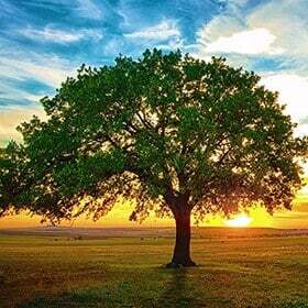 Sustainability Cost Savings for Businesses | GBQ