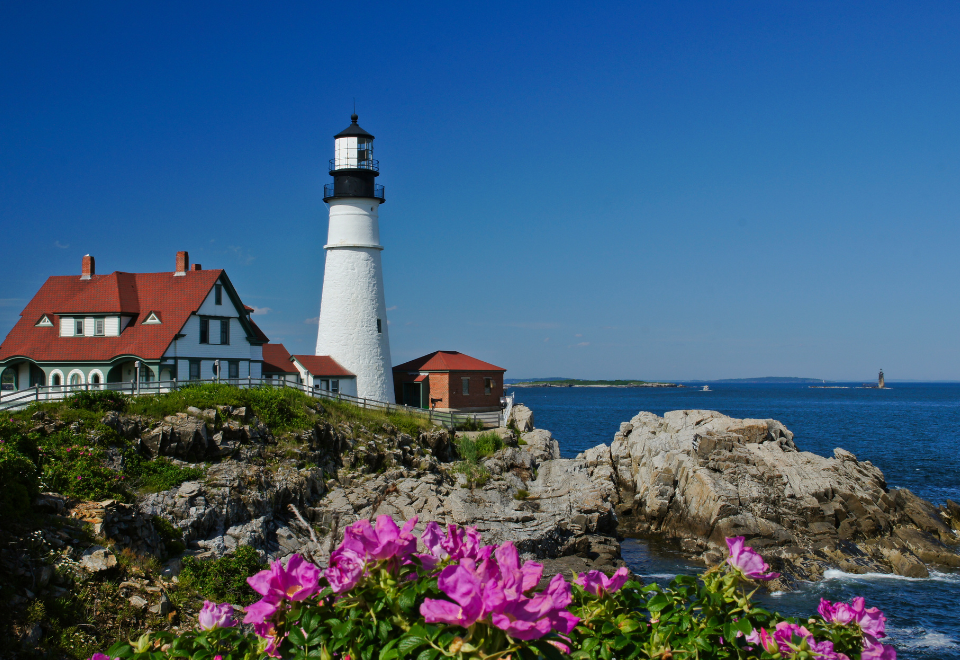 NOMAD Is Inaccurate | How Different States Charge Sales Taxes | GBQ Partners