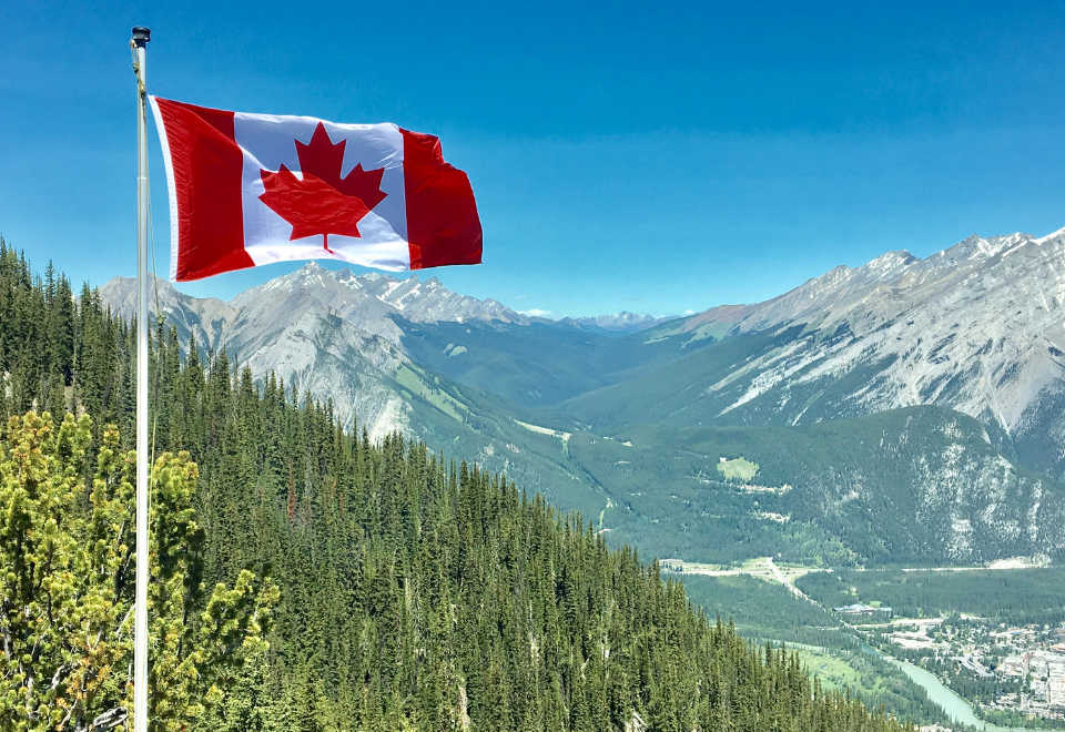 Tariffs On Canadian Goods | Retaliatory Tariffs | GBQ Partners