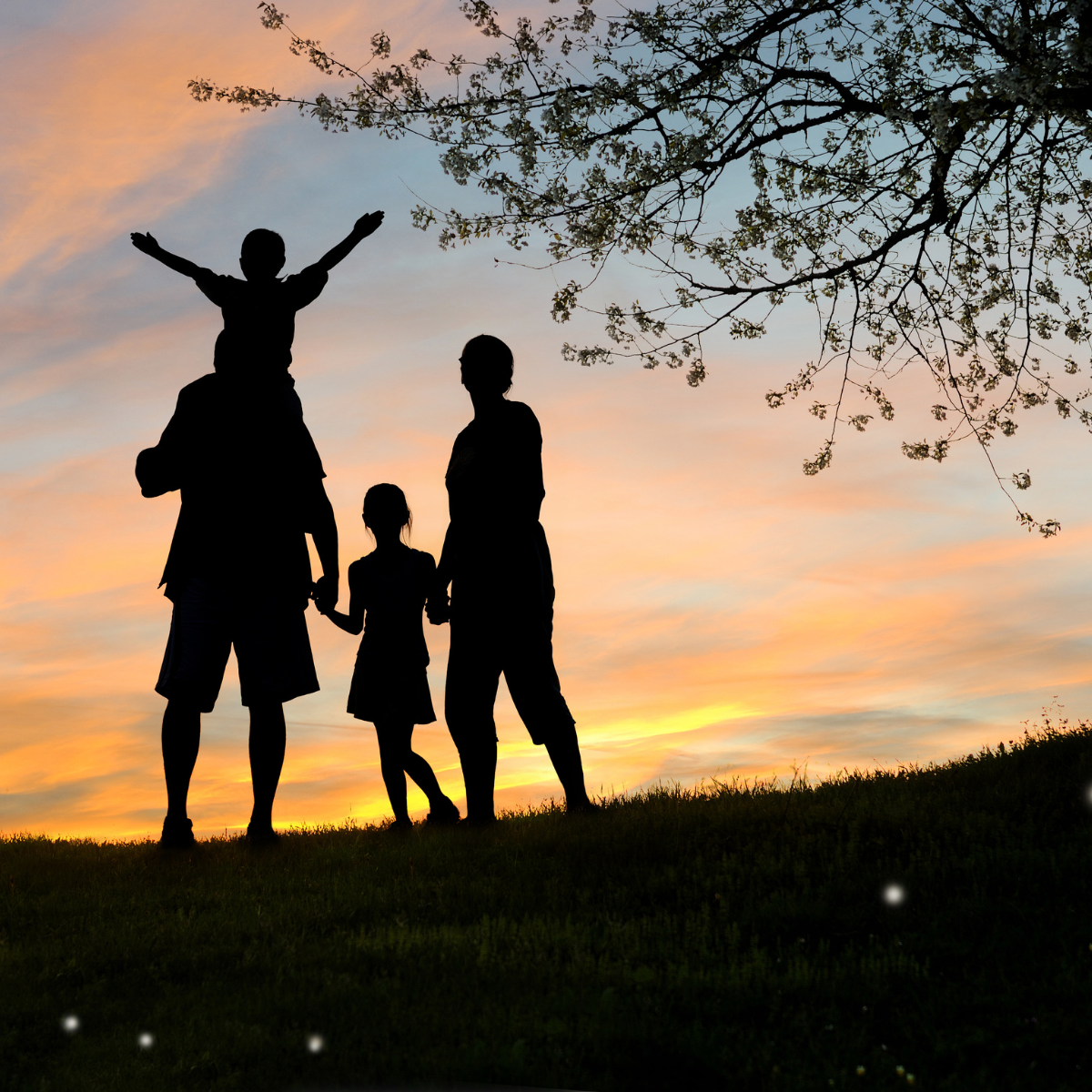 Tax Relief | American Families & Workers Act | GBQ Partners