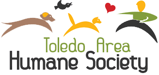 Toledo Area Humane Society | Community Engagement | GBQ Partners