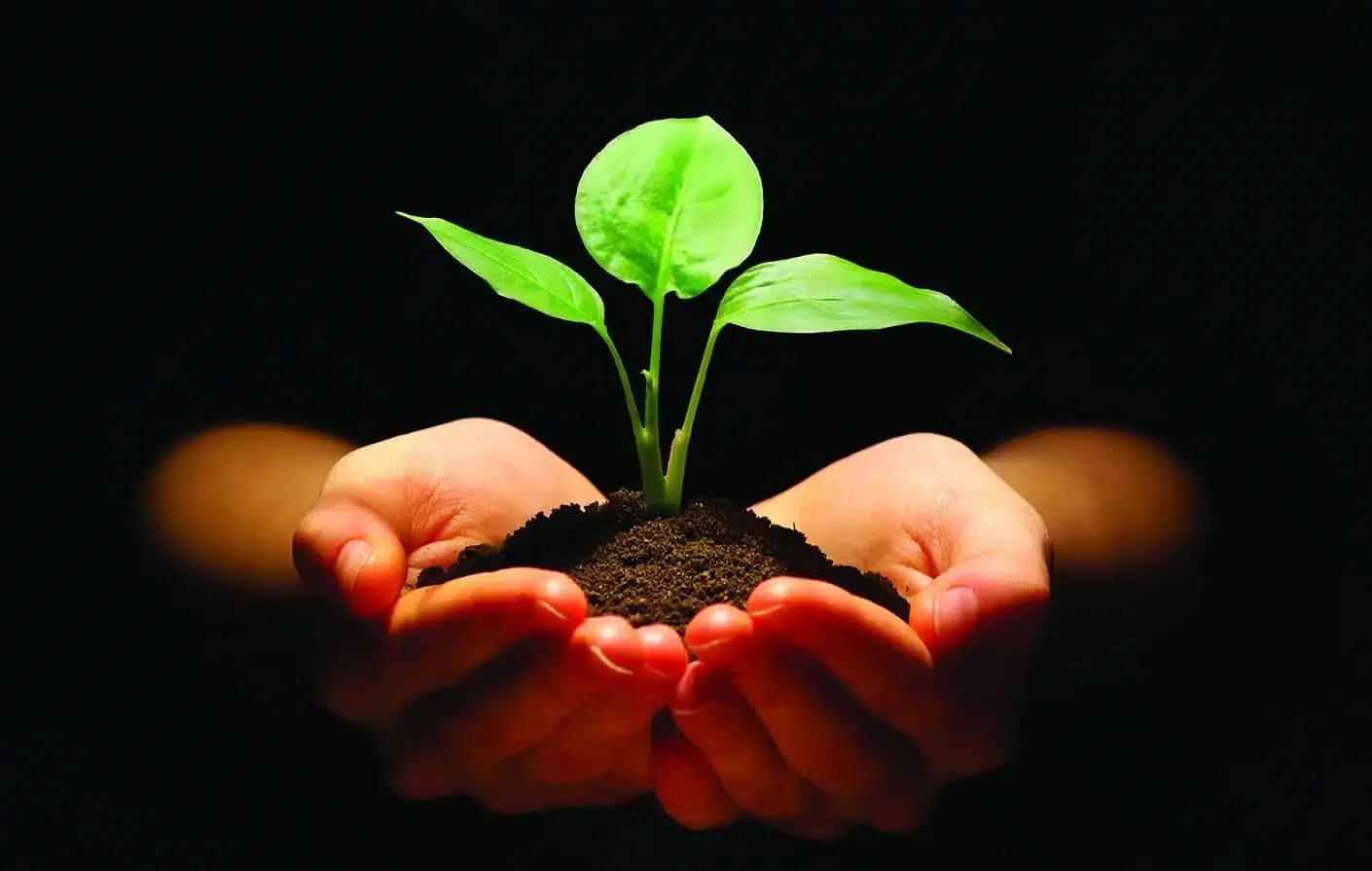 Community Impact | Indianapolis Nonprofit Support | GBQ Partners Community Impact | Indianapolis Nonprofit Support | GBQ Partners